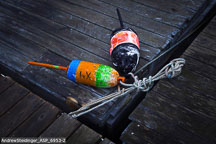 Maine Coast | Student Photos