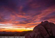 Joshua Tree | Student Photos