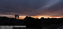 Joshua Tree | Student Candids