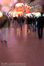Las Vegas | Student Candids
