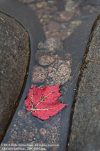 New England Fall | Student Photos