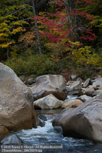 New England Fall | Student Photos