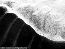Outer Banks Spring | Student Photos