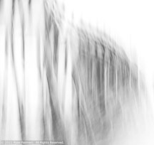 Outer Banks Spring | Student Photos