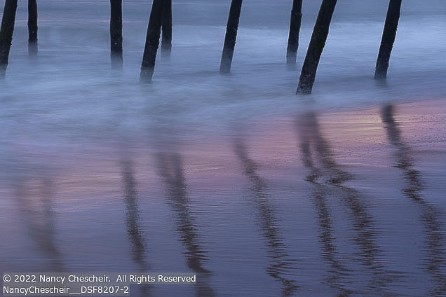 Outer Banks Winter | Student Photos