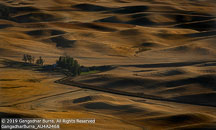 Palouse | Student Photos